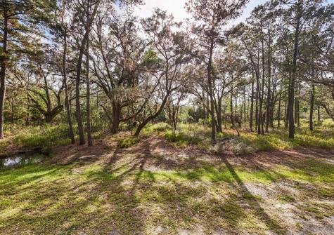 0 King Rail Lane Edisto Island SC 29438