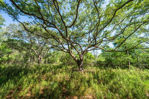 0 King Rail Lane Edisto Island SC 29438