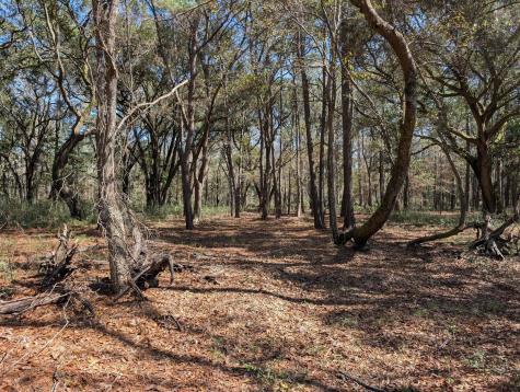 0 King Rail Lane Edisto Island SC 29438