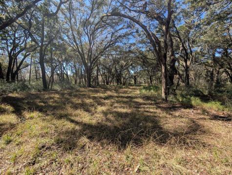 0 King Rail Lane Edisto Island SC 29438