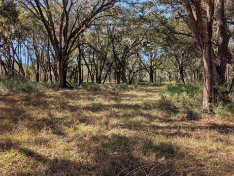 0 King Rail Lane Edisto Island SC 29438