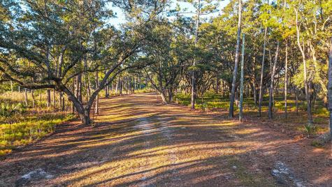 0 King Rail Lane Edisto Island SC 29438