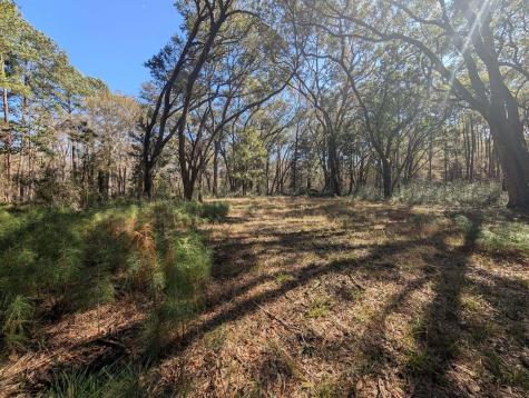0 King Rail Lane Edisto Island SC 29438