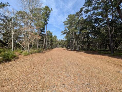 0 King Rail Lane Edisto Island SC 29438