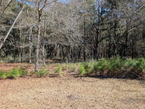 0 King Rail Lane Edisto Island SC 29438
