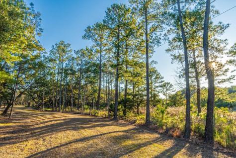 0 King Rail Lane Edisto Island SC 29438