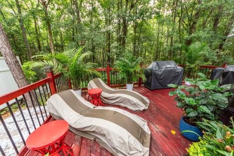 313 Grand Palm Lane Summerville SC 29485