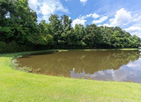 142 Black River Drive Summerville SC 29485