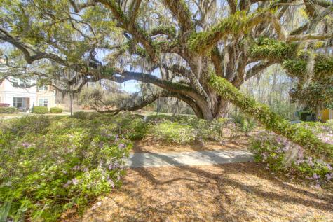 2315 Chatelain Way Mount Pleasant SC 29464