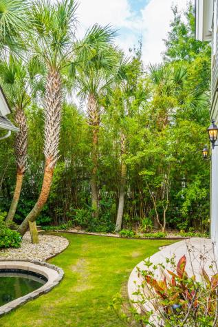 67 Delahow Street Daniel Island SC 29492