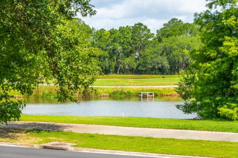 67 Delahow Street Daniel Island SC 29492