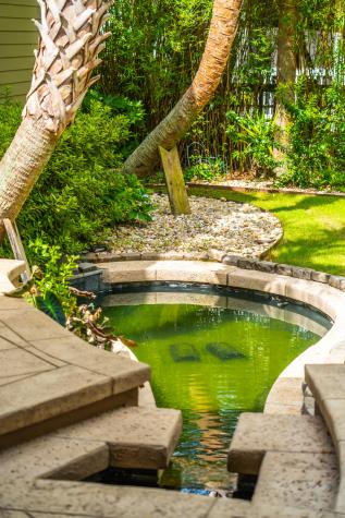 67 Delahow Street Daniel Island SC 29492