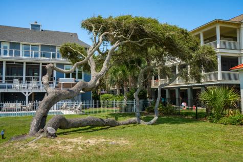 2904B Palm Isle Of Palms SC 29451