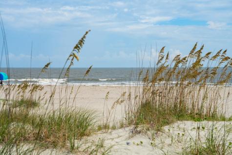 2904B Palm Isle Of Palms SC 29451