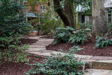 1217 Antigua Drive Mount Pleasant SC 29464