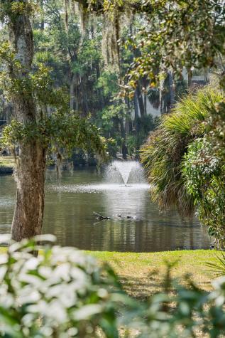 485 Sea Cloud Circle Edisto Island SC 29438