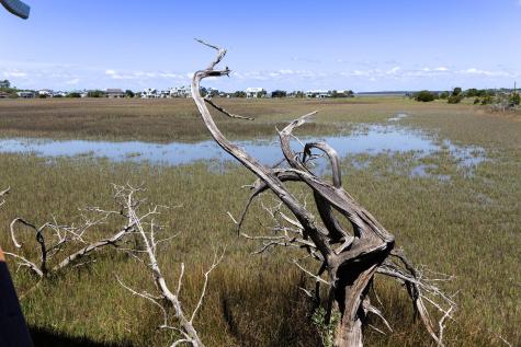 1205 Jungle Road Edisto Island SC 29438