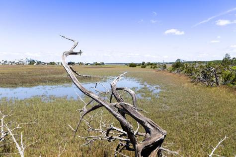 1205 Jungle Road Edisto Island SC 29438