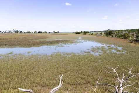 1205 Jungle Road Edisto Island SC 29438