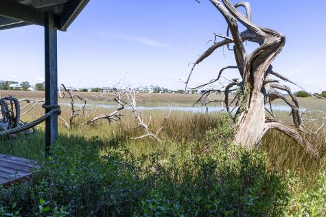 1205 Jungle Road Edisto Island SC 29438