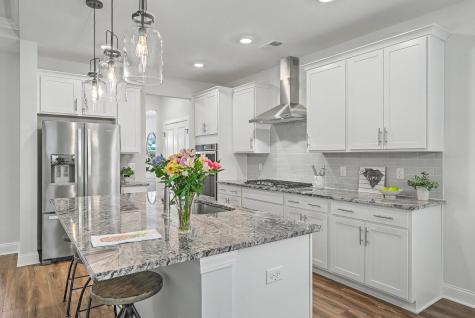 115 Firebrick Way Summerville SC 29483