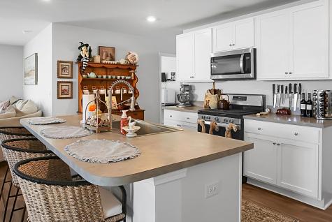 196 Coral Sunset Way Summerville SC 29486