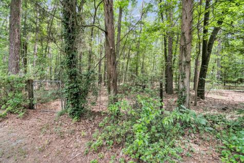 360 W Smith Street Summerville SC 29485