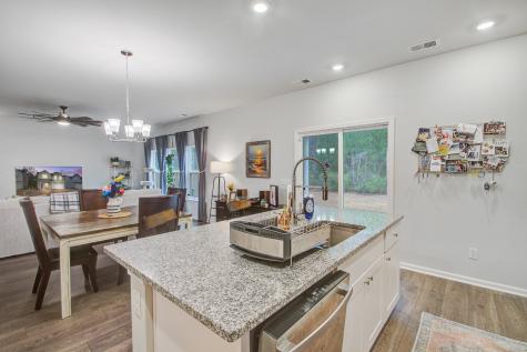 167 Camellia Bloom Drive Moncks Corner SC 29461