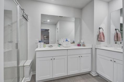 167 Camellia Bloom Drive Moncks Corner SC 29461