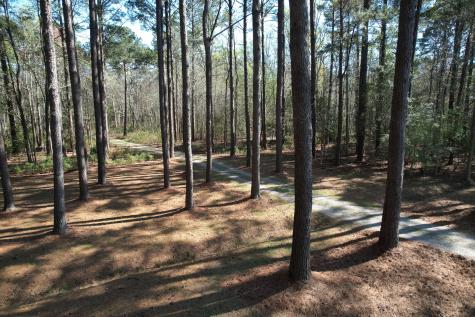 6042 Pawlett Blake Lane Wadmalaw Island SC 29487