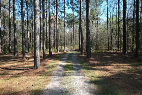 6042 Pawlett Blake Lane Wadmalaw Island SC 29487