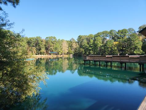 230 Congaree River Drive Summerville SC 29485