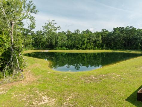 307 Green Fern Drive Summerville SC 29483
