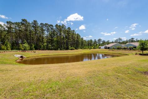618 Daffodil Court Summerville SC 29486