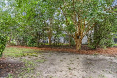 111 Larissa Drive Charleston SC 29414