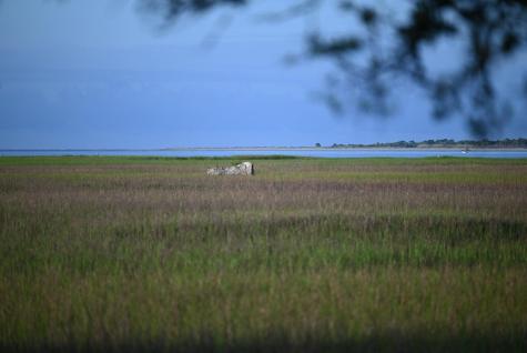 0 Cole Island Folly Beach SC 29439
