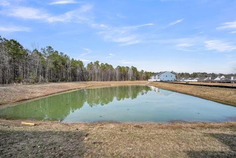 396 Painted Lady Lane Goose Creek SC 29445