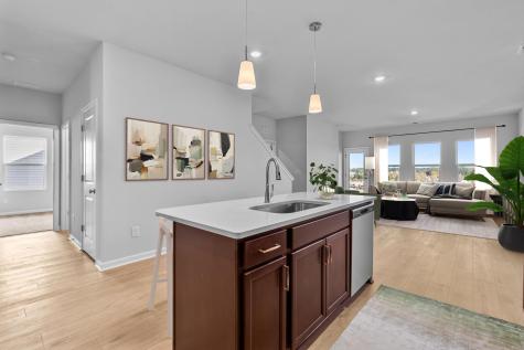 260 Clarabelle Lane Summerville SC 29483