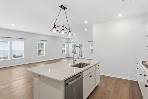 1366 Locals Street Summerville SC 29485