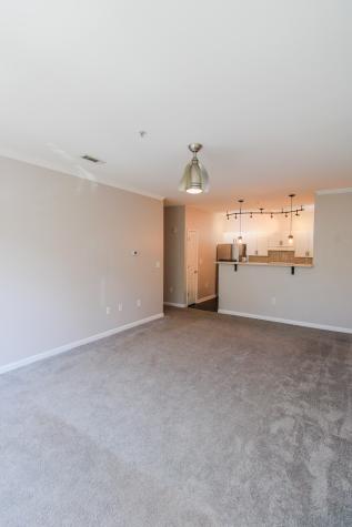 600 Bucksley Lane Daniel Island SC 29492
