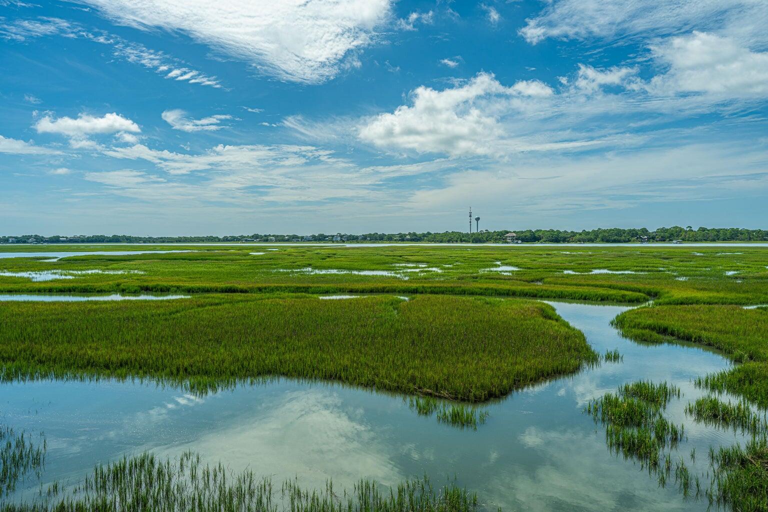 242 Little Oak Drive Folly Beach SC 29439