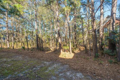 1476 Belcourt Lane Mount Pleasant SC 29466