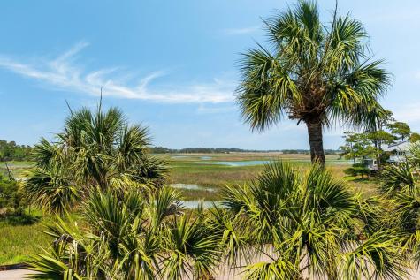 16 Fairway Village Lane Isle Of Palms SC 29451