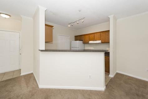 45 Sycamore Avenue Charleston SC 29407