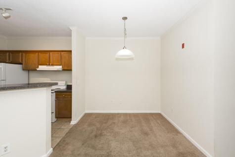 45 Sycamore Avenue Charleston SC 29407
