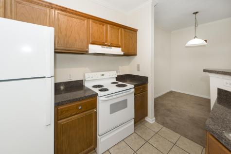45 Sycamore Avenue Charleston SC 29407