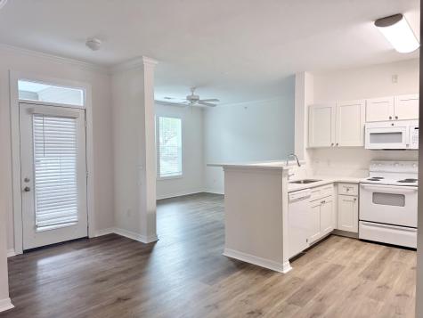 130 River Landing Drive Daniel Island SC 29492