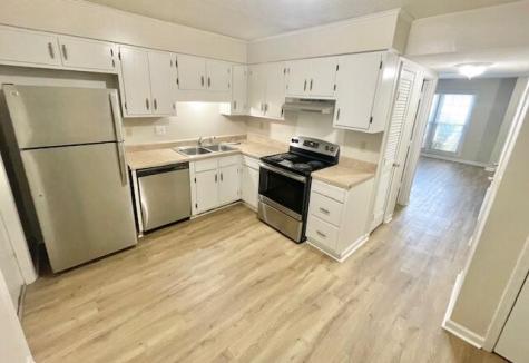 930 Blackrail Court Mount Pleasant SC 29464