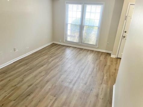 930 Blackrail Court Mount Pleasant SC 29464