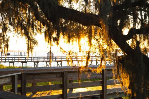 128 Etta Way Daniel Island SC 29492